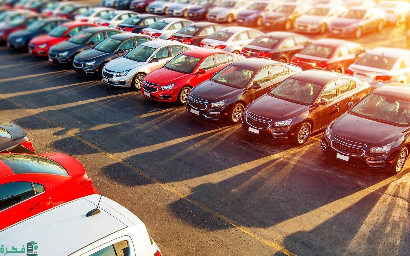 أسماء السيارات المعفاة من الجمارك 2024