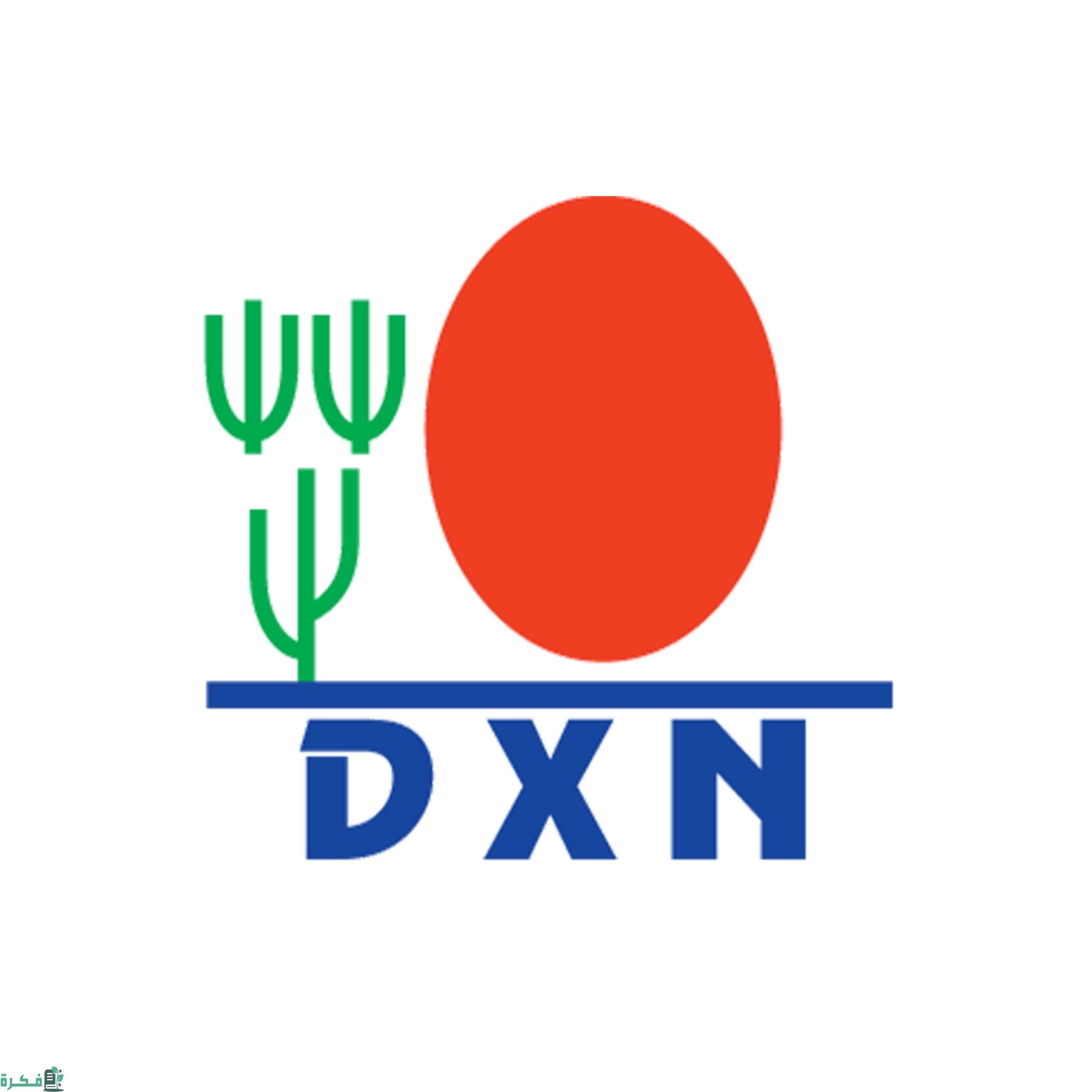 كيف الدخول إلى حسابي في شركة Dxn scaled