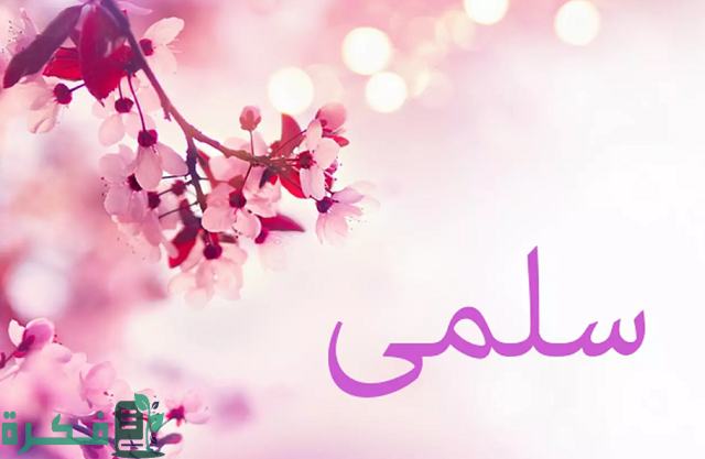 ما دلع اسم سلمى؟