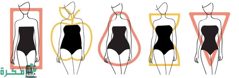 كيف اعرف شكل جسمي 1 images 2023 09 01T011235.802