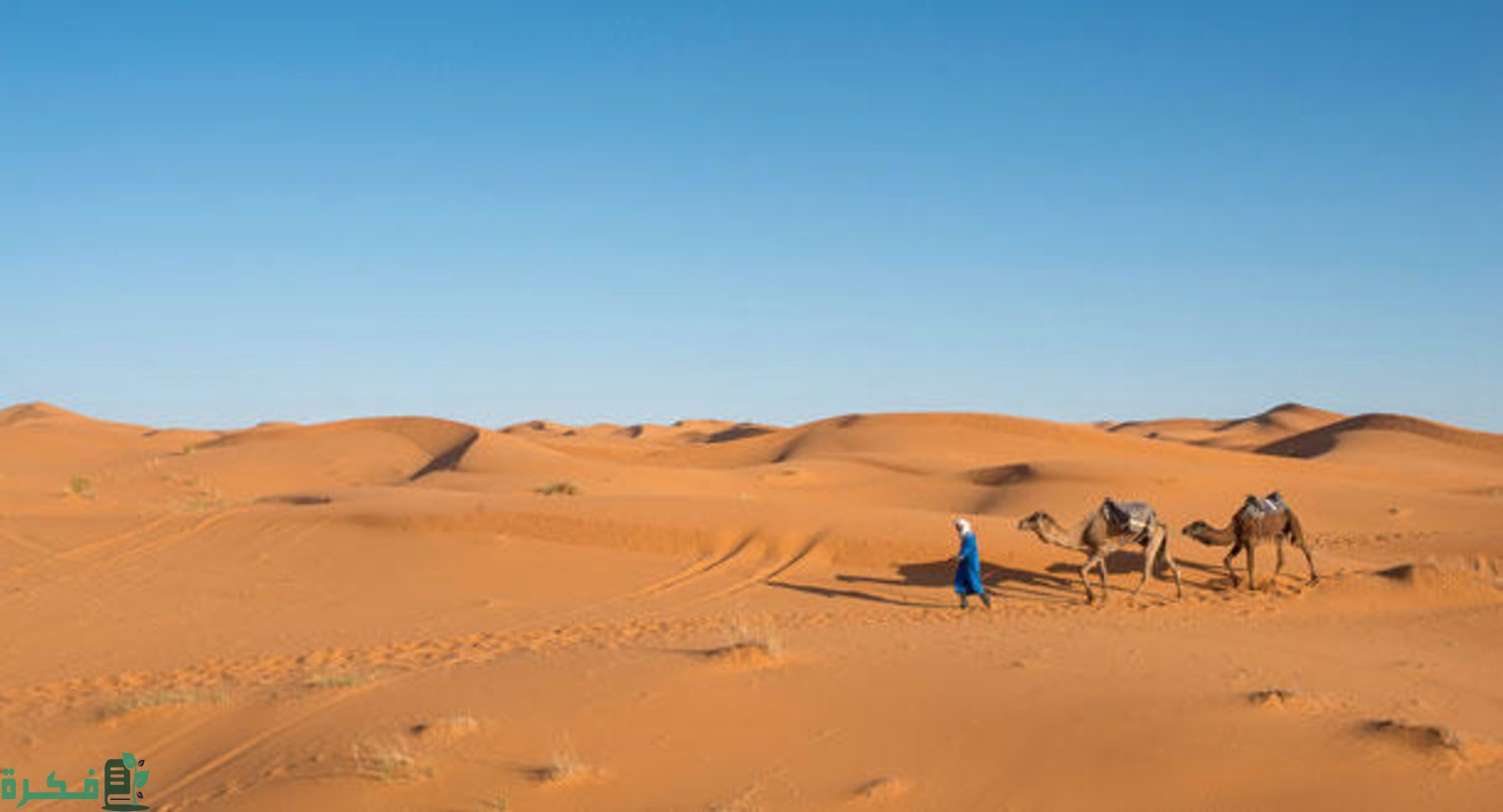 ما هو اصل عائلة النغيمشي