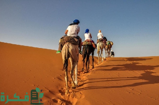 ما هو أصل ونسب عائلة آل بو مهير في عمان