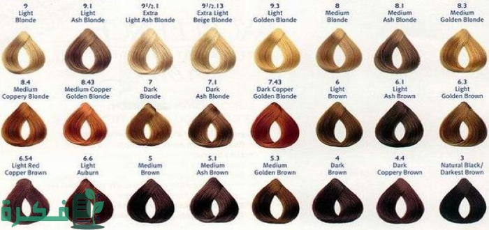 أرقام صبغات أحمر برغندي ودرجاتها