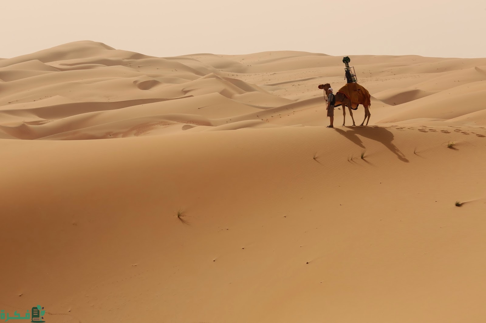 أصل عائلة الحجاج هل يعود الى قبيلة بني تميم