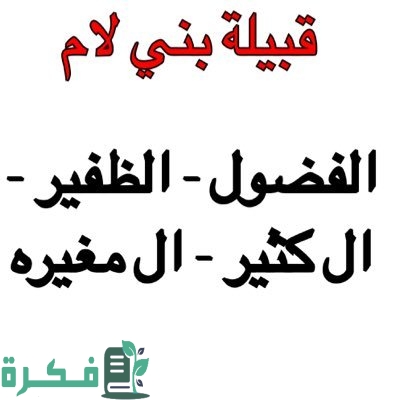 أصل عائلة بن لام وش يرجع