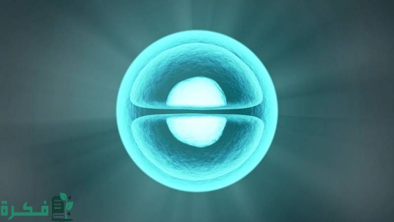 أول من شاهد الخلية هو العالم