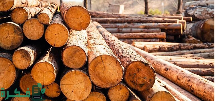 استخدامات الأخشاب قديمًا
