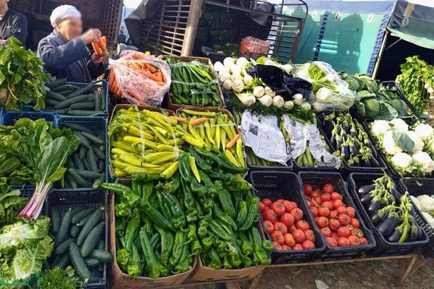 دليل سوق الشمال للخضار والفواكه الرياض وأفضل المحلات