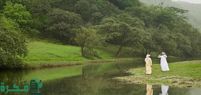 نسبة المناطق الخضراء في السعودية 3 كم نسبة المناطق الخضراء في السعودية