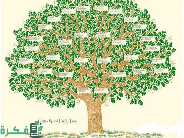 كيف أعرف اسمي بالكامل في مصر