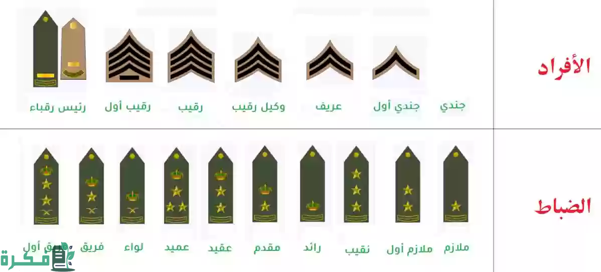 كم راتب الفريق الأول في السعودية