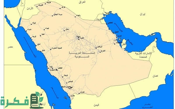 images 2023 12 10T225829.484