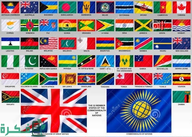 images 2023 12 12T233153.784