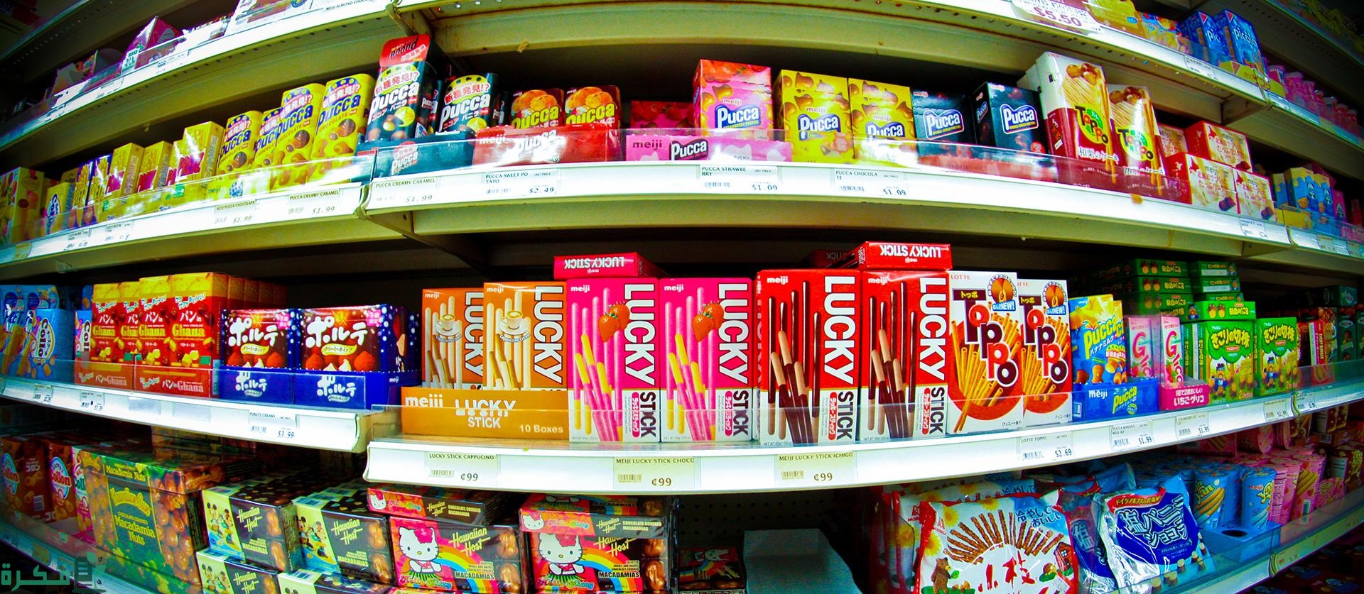 أكبر شركات الأغذية في السعودية