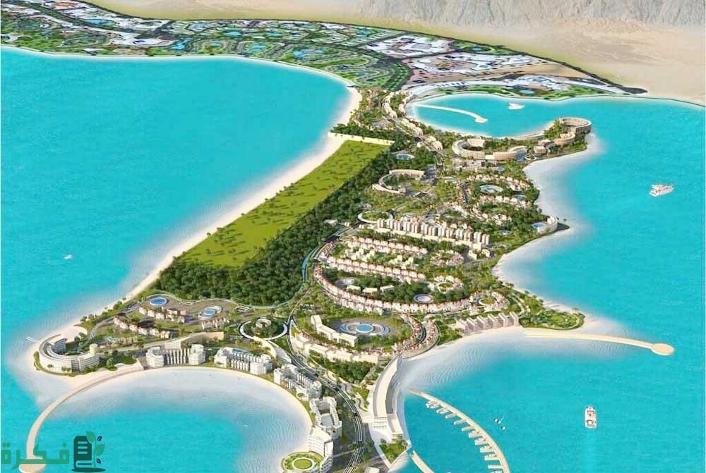 المسافة من تبوك إلى نيوم