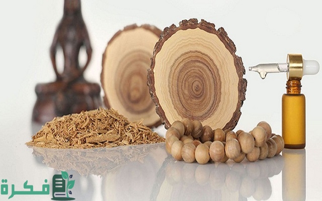 المشاريع الناجحة في السعودية