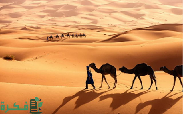 518 رمز اي قبيله