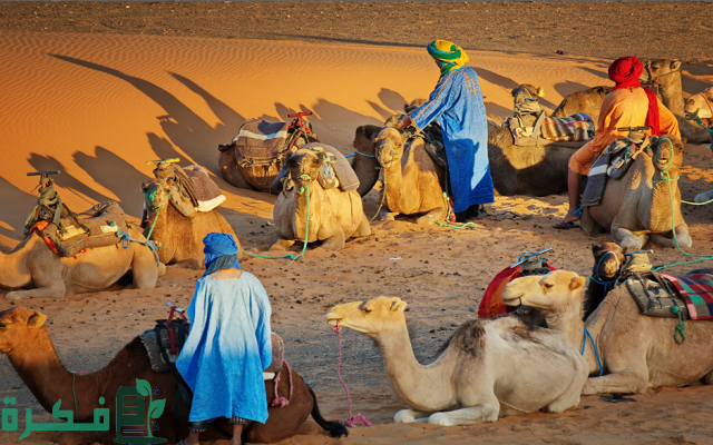 909 رمز اي قبيلة