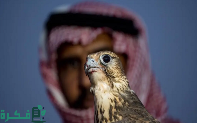 خريطة هجرة الصقور في السعودية