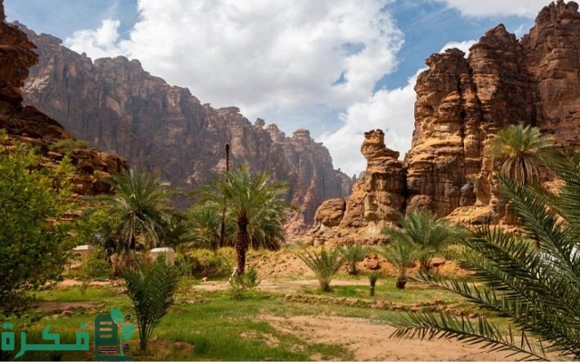 كم عدد سكان حائل 2024