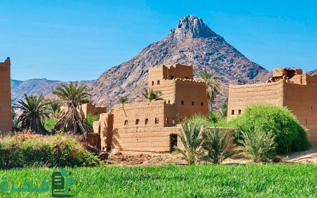 كم عدد سكان منطقة نجران