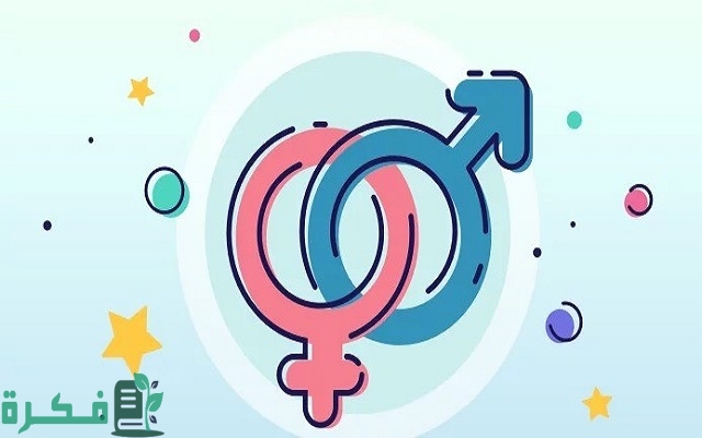 هل الجدول الصيني يختلف من عام الى آخر