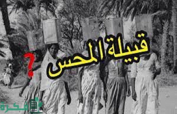 هل قبيلة المحس عرب