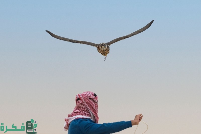 جدول غرامات الصيد في السعودية 4 جدول غرامات الصيد في السعودية