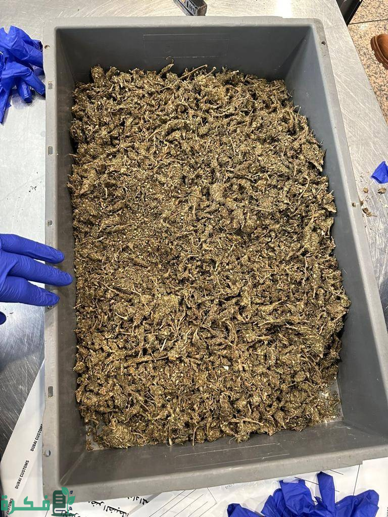 جمارك دبي تكشف حيلة جديدة لإخفاء المواد المخدرة مع مسافرة أفريقية