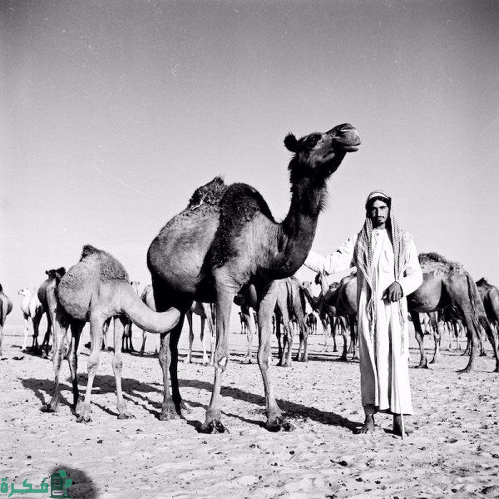 أول قبيلة استوطنت في الكويت