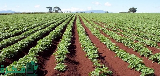 شروط البناء على الأراضي الزراعية في الأردن 2 شروط البناء على الأراضي الزراعية في الأردن