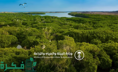 "البيئة": الموافقة على انضمام المملكة إلى اتفاقية الأراضي الرطبة تعزّز المنافعَ البيئية والاقتصادية