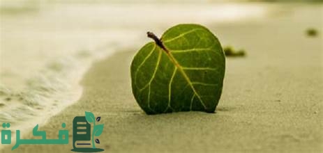 كابشن للصور الشخصية