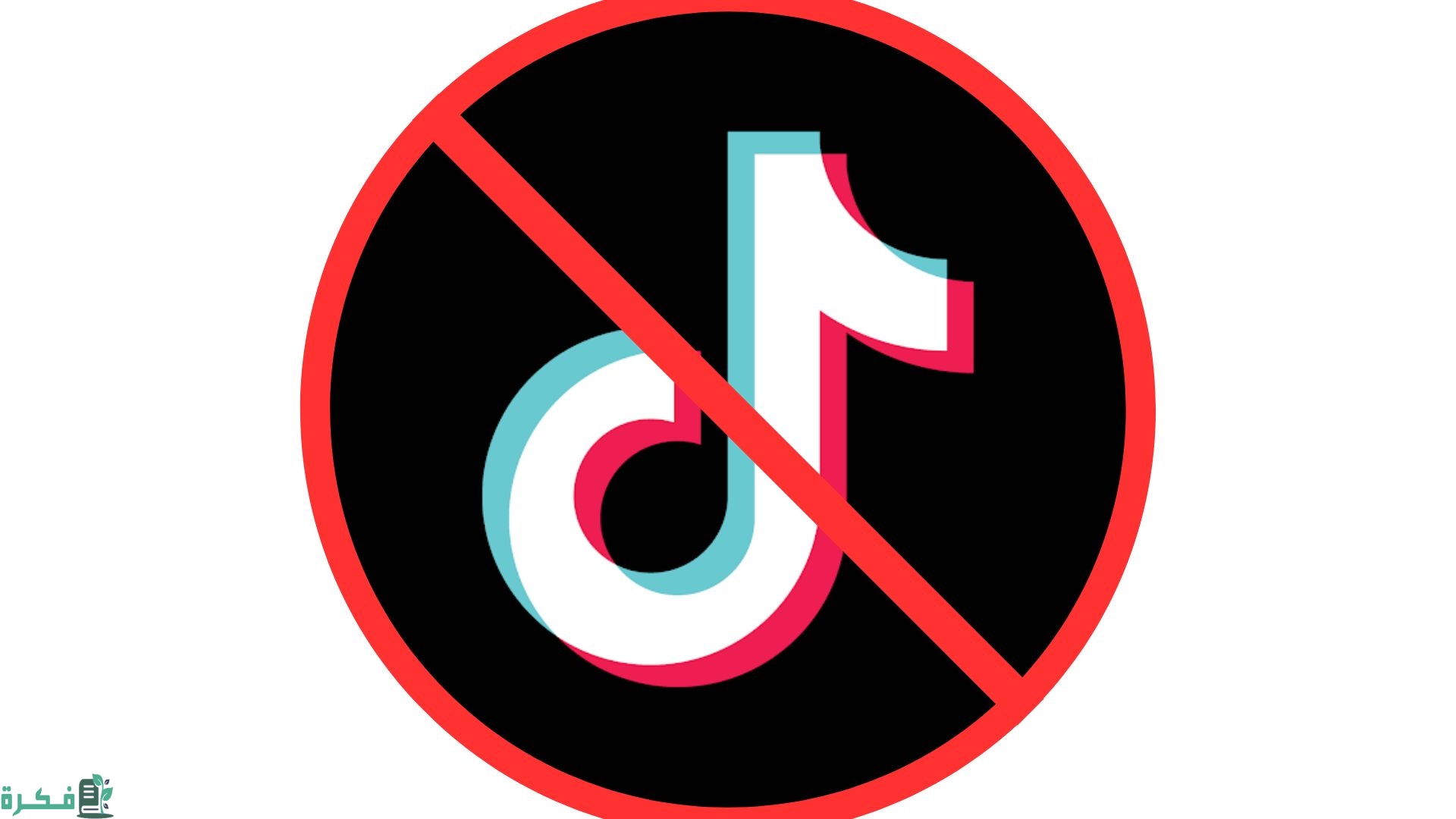 بعد الدعم الكاسح لفلسطين.. مسؤولون أمريكيون: حرب غزة سبب حظر محتمل لـ"تيك توك" في الولايات المتحدة