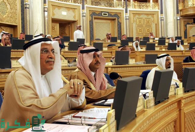 الشورى يطالب "المنافسة" بدراسة قطاع الطيران وأثر سلوك المنشآت على أسعار التذاكر