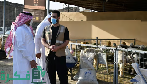 350 موظفًا.. "بيئة الرياض" تبدأ تنفيذ خطتها لإدارة المسالخ والأسواق في عيد الأضحى