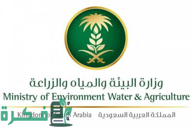 للحفاظ على البيئة والصحة العامة.. رفع مستوى الخدمة وجاهزية تامة بمسالخ العاصمة المقدسة