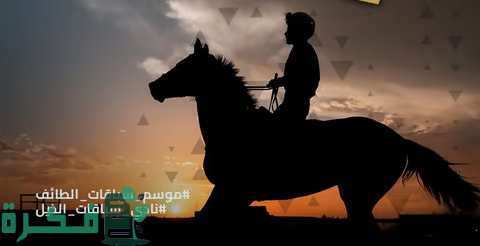 بدء فعاليات موسم سباقات الطائف للخيول 2026 3 بتنظيم نادي سباقات الخيل.. برنامج جديد لموسم سباقات الطائف 2024 يشهد تطويرًا بالجوائز المالية