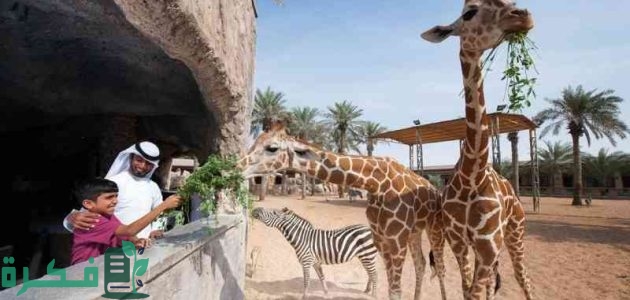 رسوم دخول حديقة الحيوان بالدمام