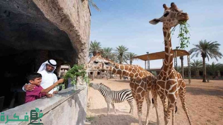 رسوم دخول حديقة الحيوان بالدمام