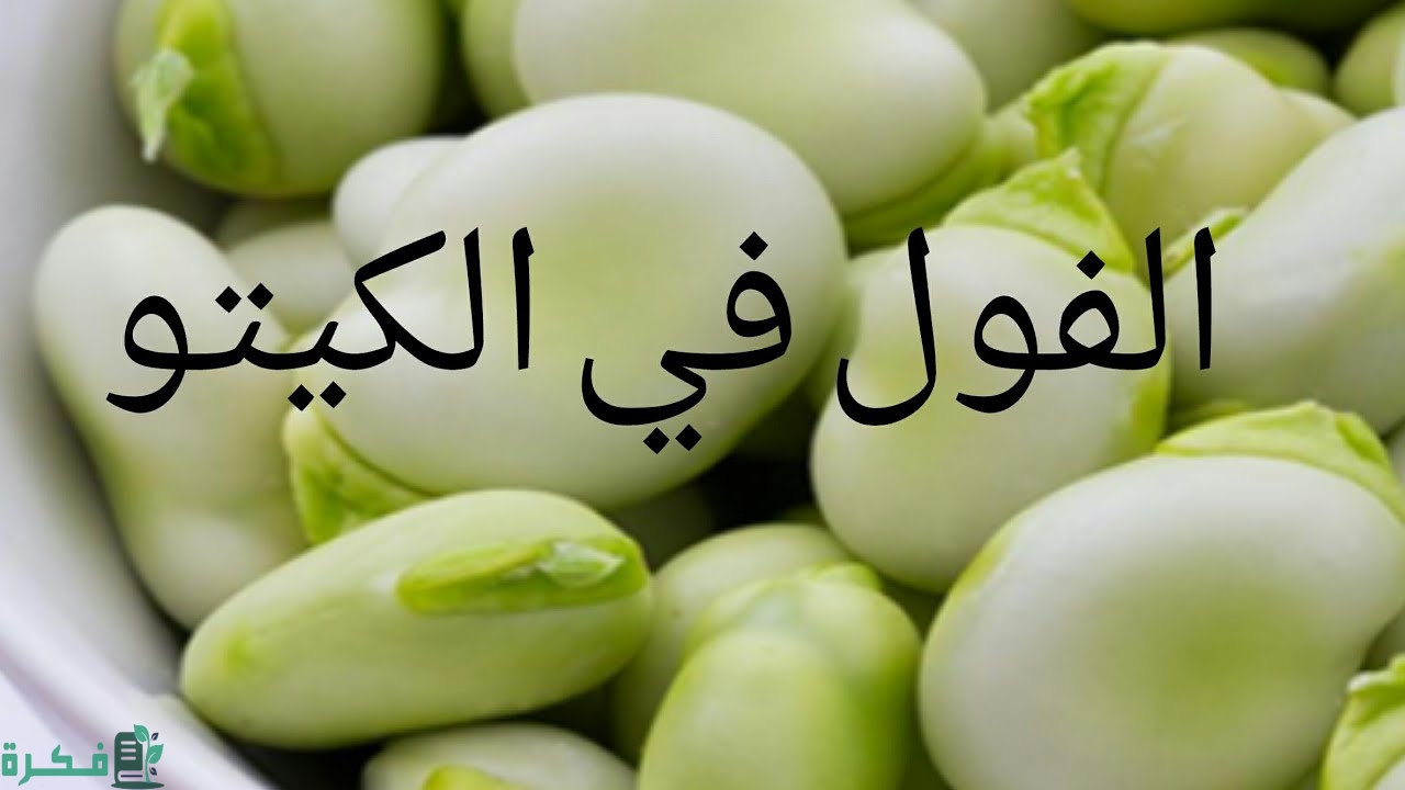 هل الفول مسموح في الكيتو