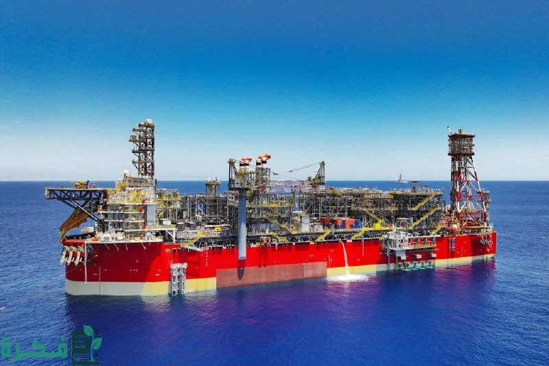 رويترز: مصر ترسي عطاء لشراء 17 شحنة غاز خلال الصيف.. وتتحول إلى "مستورد صافي"