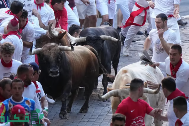 بالصور.. "الركض مع الثيران": جري وفوضى ودماء.. وهذه النهاية المحتومة