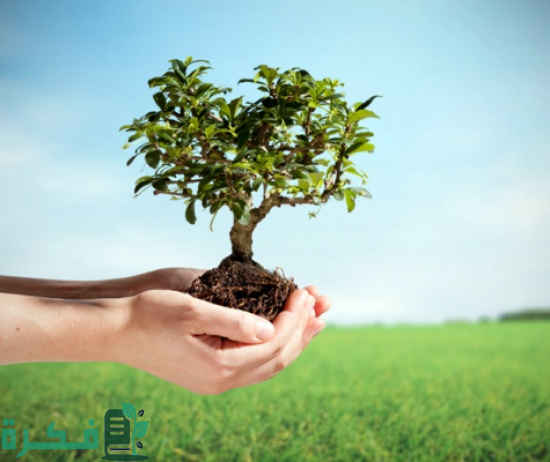 "الالتزام البيئي" يطلق أول ورشة عمل لرصد ومراقبة جودة المياه السطحية والجوفية