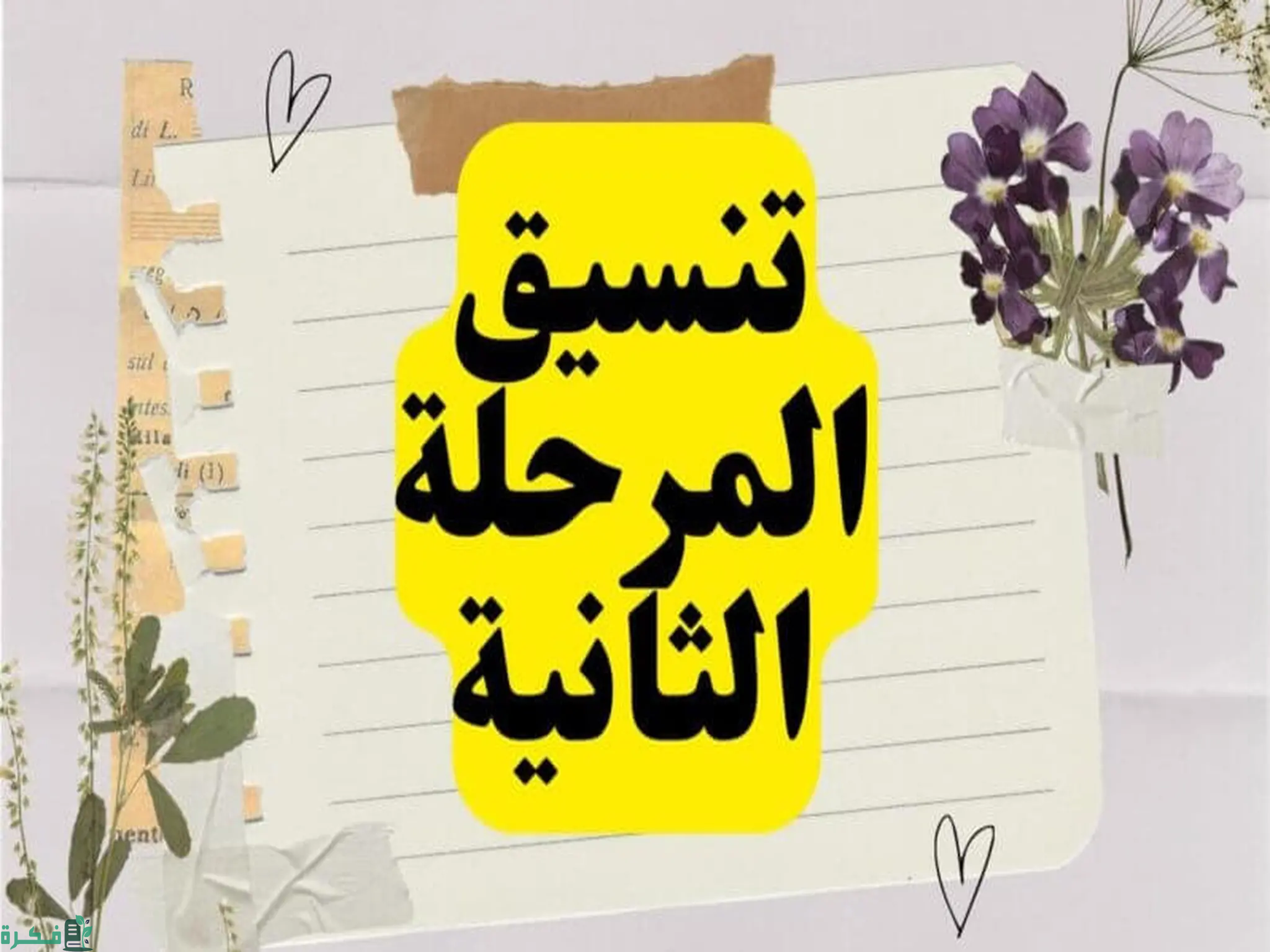 تنسيق الثانوية العامة 2024 المرحلة الثانية علمي رياضة