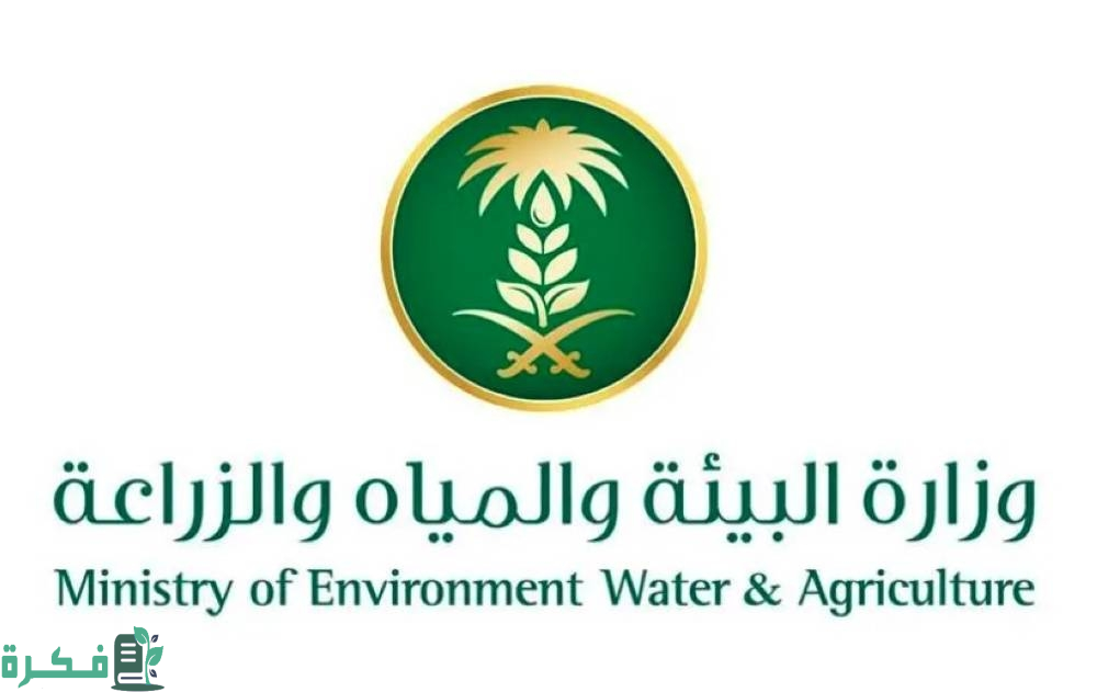 "البيئة": السعودية تُنتج 89.5 ألف طن من المانجو سنويًّا.. وجازان تتصدر بإنتاج 60 ألف طن