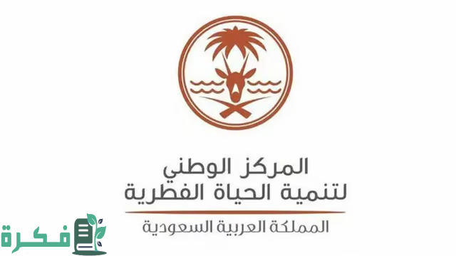 الحياة الفطرية: ولادة 4 أشبال للفهد الصياد واكتمال استراتيجية الحفاظ عليه