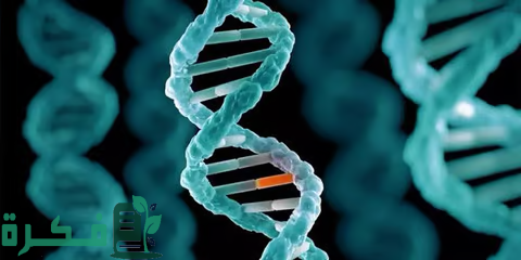 كاوست تطور نظام تسلسل جيني جديد لإنقاذ مرضى الطفرات الوراثية