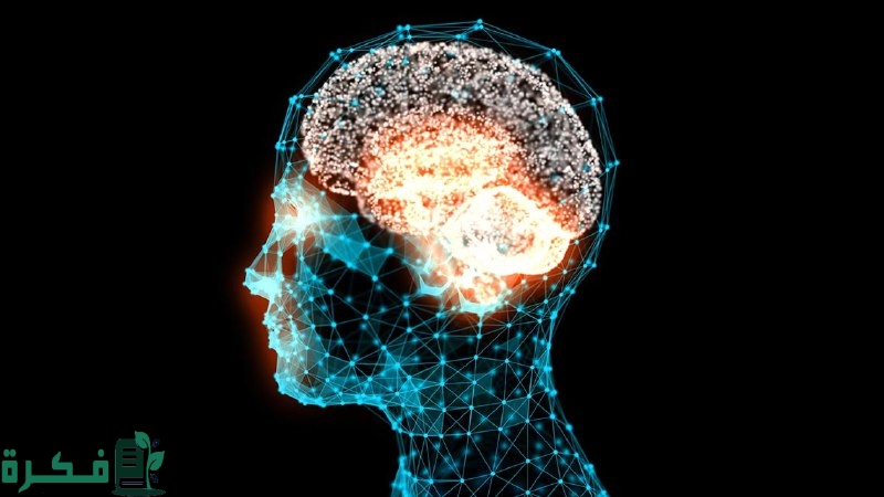 اسئلة تقييم ذكاء سريع