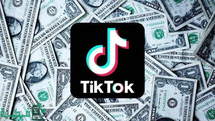 كم يدفع التيك توك مقابل 1000 مشاهدة